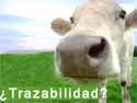 Trazabilidad
